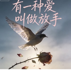 有一种爱叫做放手 (撕裂版)封面