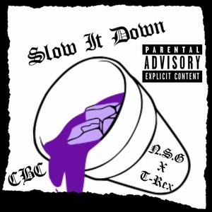 Slow It Down (feat. T-Rex) [Explicit]