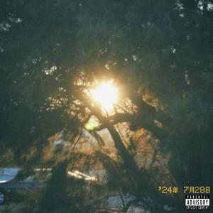 Molly (feat. Lil Logan) (Explicit)