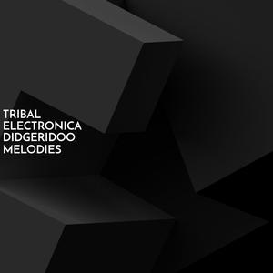 Tribal Visions (Electronic Drummed Australian Didgeridoo)
