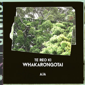 Te Reo Ki Whakarongotai