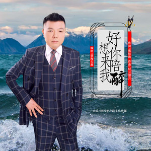 好想你来陪我醉