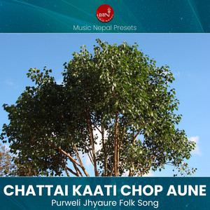 Chattai Kati Chop Aune