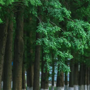 心在路上悠悠荡荡