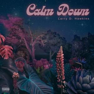 Calm Down (Explicit)