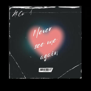 Never See Me Again