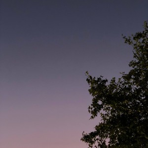 butter(feat. sosa⭐︎) (Explicit)