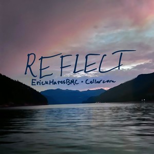 REFLECT