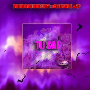 Tu Sai (feat. Clensone & ZP) [Explicit]