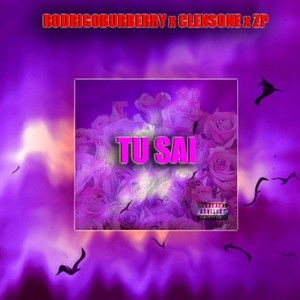 Tu Sai(feat. Clensone & ZP) (Explicit)