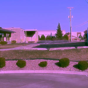 Tryna Get Bucks (Explicit)