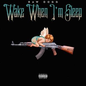 Wake When I'm Sleep (Explicit)