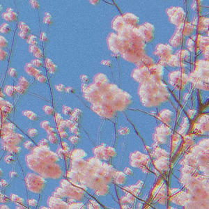 FIORI DI SAKURA (feat. Skeletro)