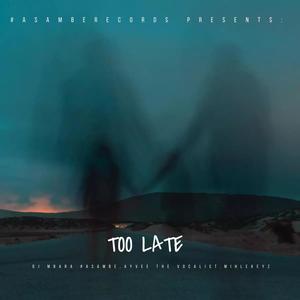 Too Late (feat. Ayvee The Vocalist & Mihlekeyz)