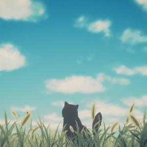 in my dreams, we both are cats