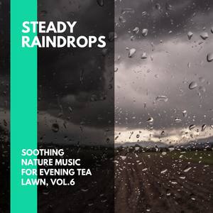 Steady Raindrops - Soothing Nature Music for Evening Tea Lawn, Vol.6