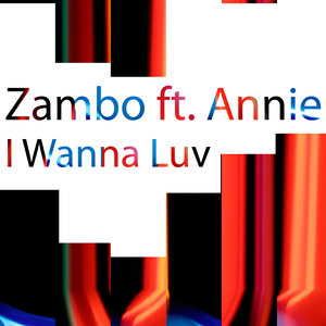 I Wanna Luv (feat. Annie) - Single