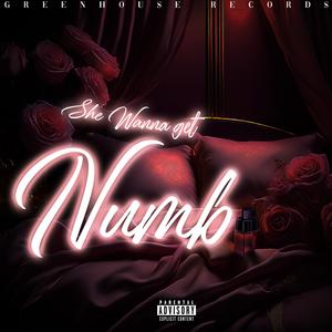 She Wanna Get Numb (feat. Cozy Wrld & Wing Goods) (Explicit)