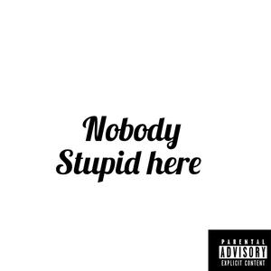 Nobody Stupid Here (Explicit)