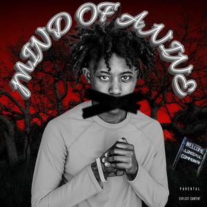 Meteorite (Explicit)