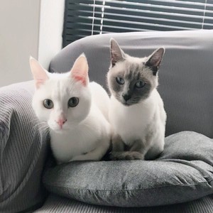 No. 7 - 쉬고가기