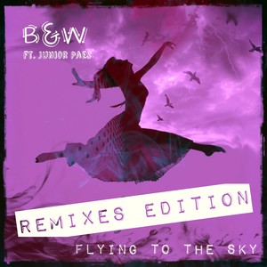 Flying To The Sky (Remixes Edition)