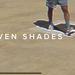 CHIVEN SHADES