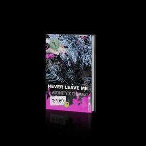 Never Leave Me