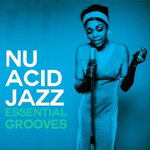 Nu Acid Jazz Essential Grooves