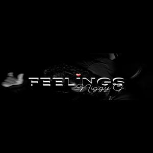 Feelings Freestyle (Explicit)