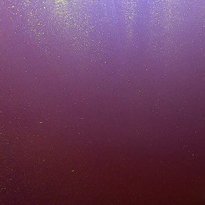 ちいさな生き物と衛星の軌道