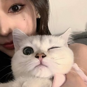 这世界那么多人 (小提琴版)