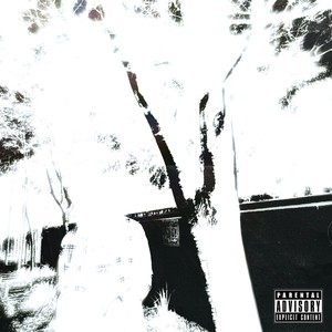 Role Model (Explicit)