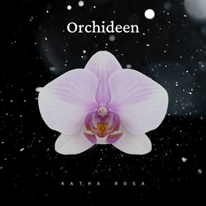 Orchideen