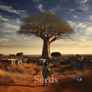 Seeds (feat. Nikitha Mabaso)