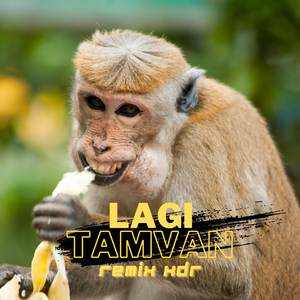 LAGI TAMVAN