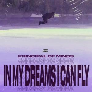 In My Dreams I Can Fly (Explicit)