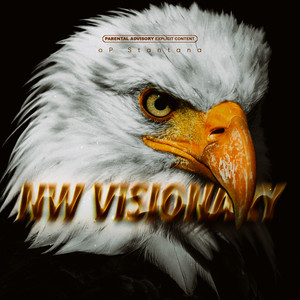 NW Visionary (Explicit)