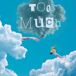 Too Much (Explicit)