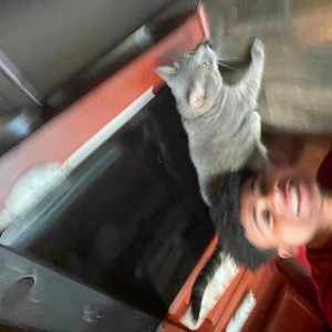 Tomfoolery! (feat. Alpha Xan) (Explicit)