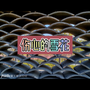 伤心的雪花 (创新版)