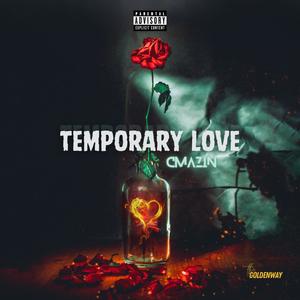 Temporary Love (Explicit)