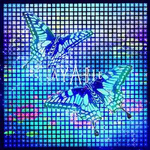 流星 (Falling Star)