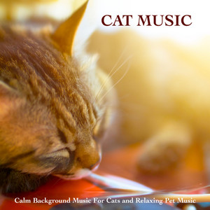 Music For Cat Sleeping