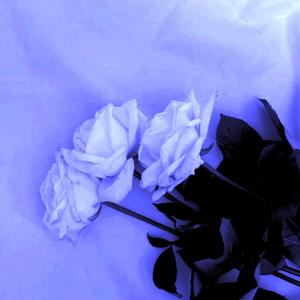 history (feat. Pendxng) (Explicit)