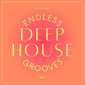 Endless Deep-House Grooves, Vol. 3 (Explicit)