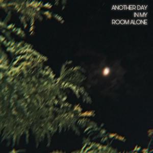Another Day in My Room Alone(feat. Michate) (Explicit)