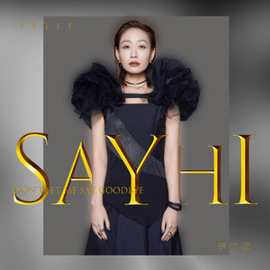 Say Hi