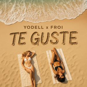 Te Gusté (feat. Froy)