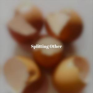 Splitting Other